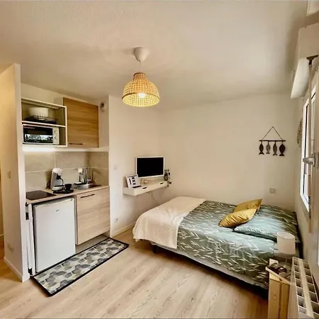 Apartamento Studio Orchidee - Metro Arenes - Hopital A 5 Mn